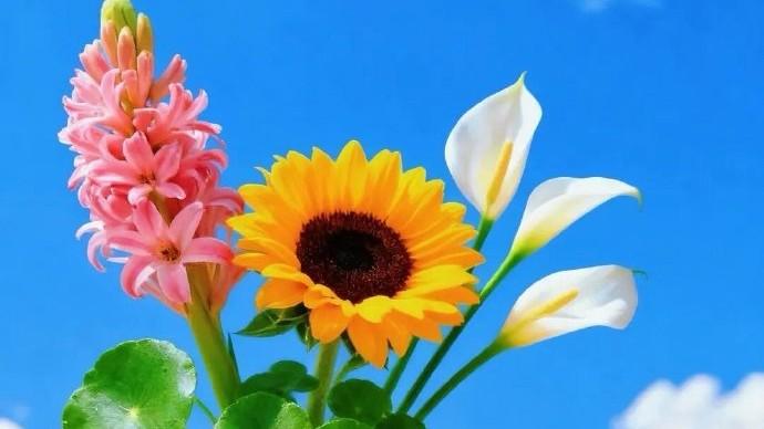 2025年十一月再见，十二月你好的唯美朋友圈语录！