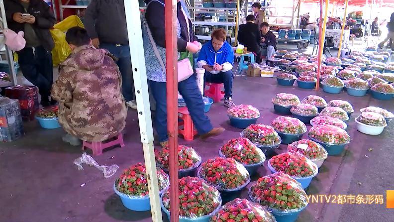 价格即将大跌！每公斤低至→