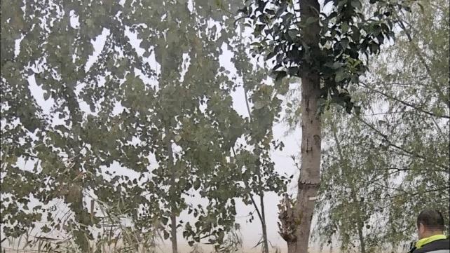 浓雾清晨车辆坠沟 顺风车救援十分钟解困