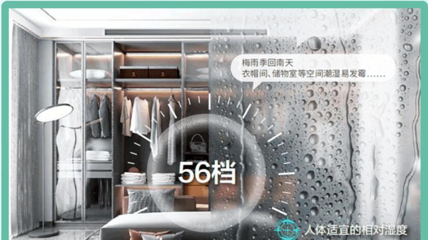 自由，是回南天里干爽的地板，是雾霾天里开窗般的清新