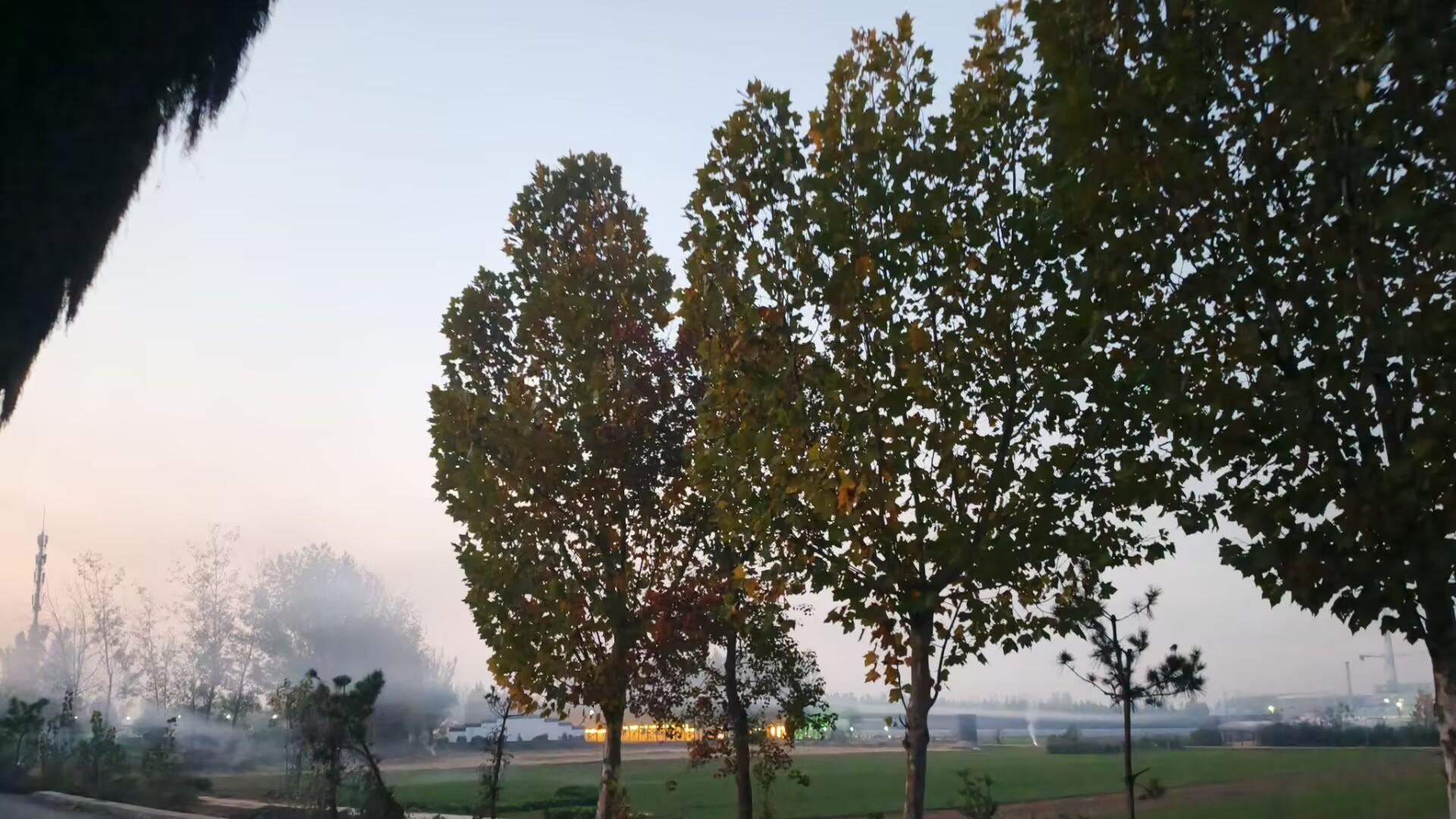 一贱破九贵，要与有福气的人一起玩