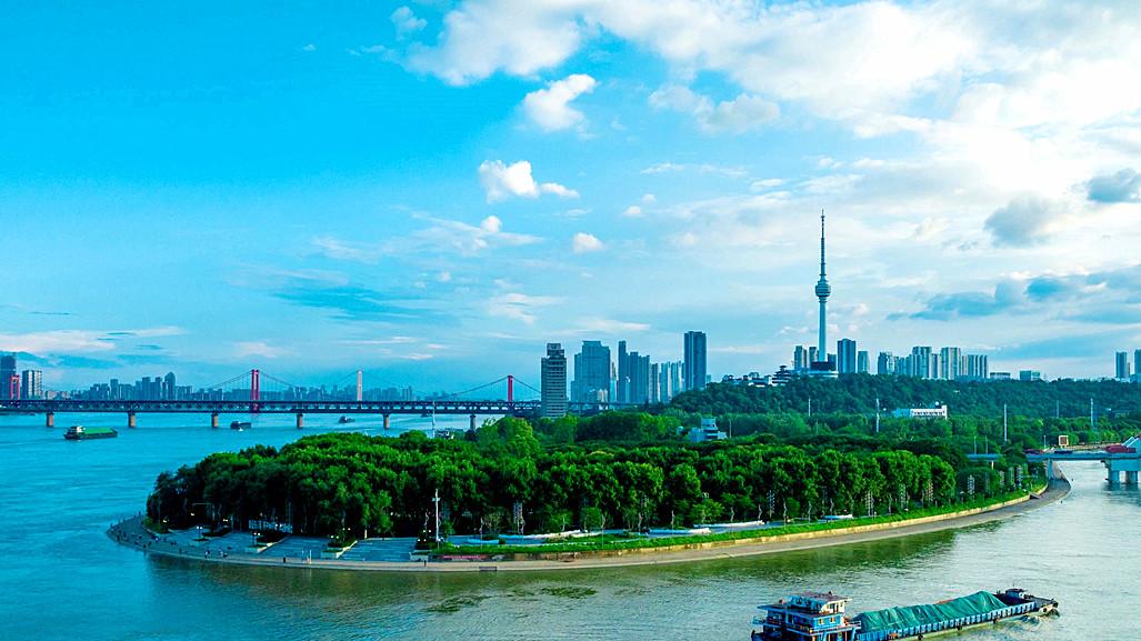 武汉主城区的汉阳区有两大城区中心，一个叫钟家村一个叫王家湾