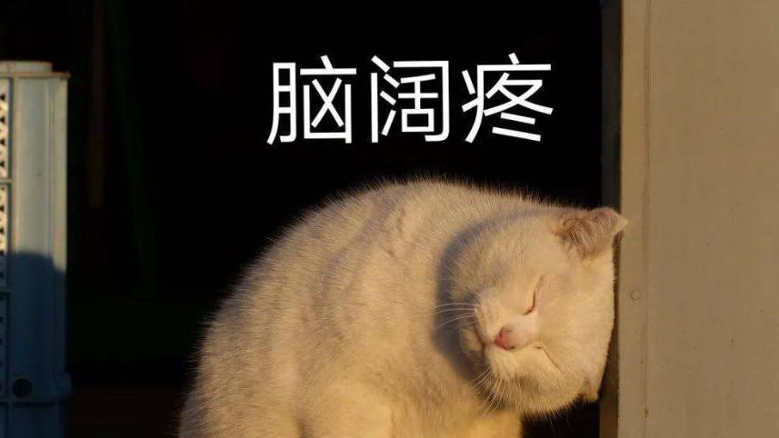 太较真反而没好日子过，领导说我太善良不适合这个岗位，后来我才明白，职场最重要的是学会做人，而不是做事