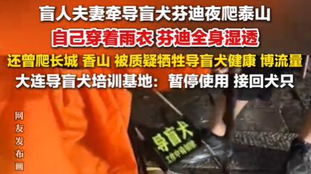 请把导盲犬给真正需要的人！