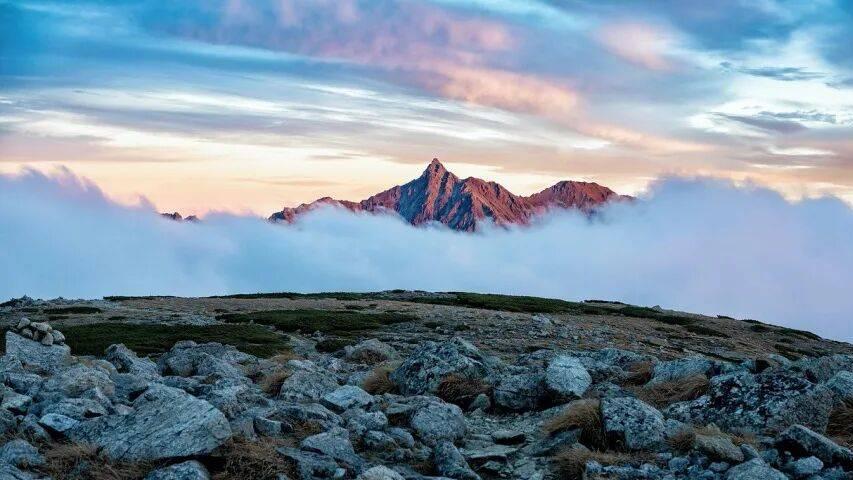 家电产业竞争已进入国补“新常态”