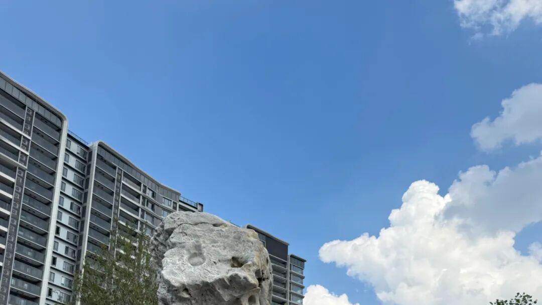 保利确实厉害啊，天外明年就能读，但是这个溢价值得吗 | 附未来方洲开盘价格