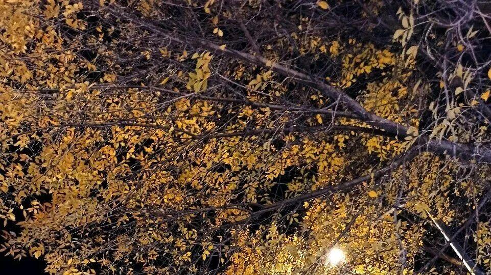 职场笔话：有“血性”的暴躁君