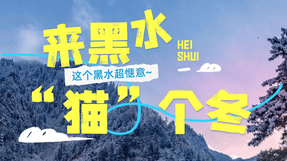 惬意满分！来黑水“猫”个暖冬~