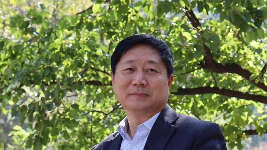 【李有成——元旦特刊】2026当代艺术名家作品展 ​