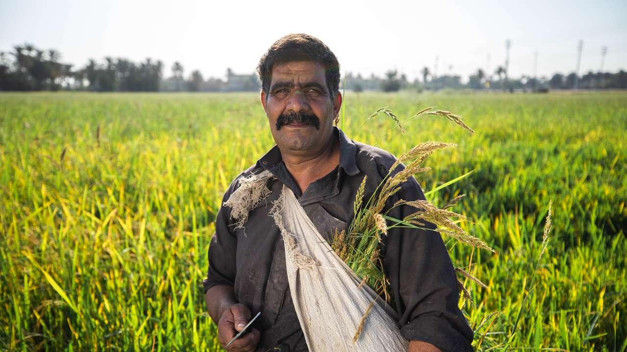 杂粮作物混播保收稳产，香料作物间作趋避虫害，生物菌肥替代化学肥料