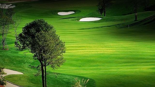 管理效应（551-580个）