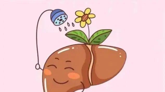 加速尿酸代谢不费力！4个家常招，护肝护肾双保障