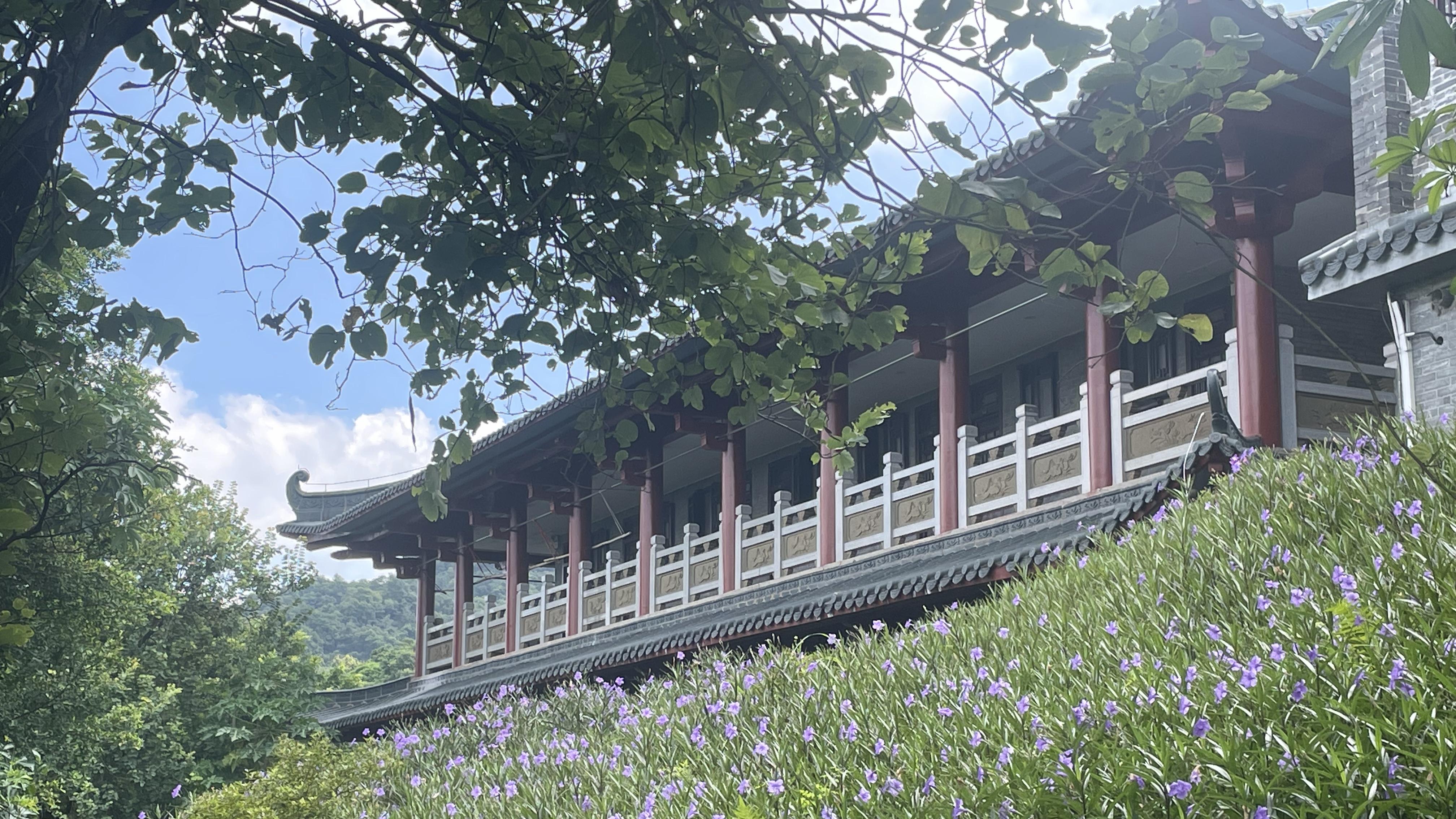 如何恢复心力？