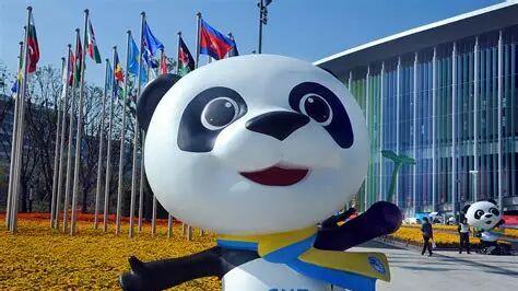 进博会引领开放新格局，汇信ERP赋能进口管理数字化变革