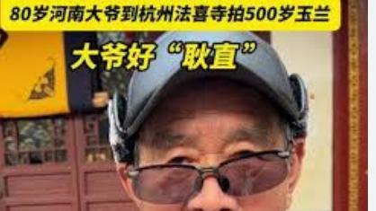 80岁河南大爷到法喜寺拍500岁玉兰叔叔 s的幽默和率真不仅让在场的记者捧腹大笑