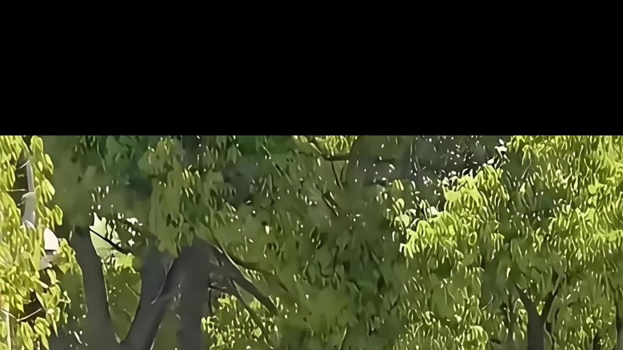 骑上我的小摩托，它永远不会堵车。