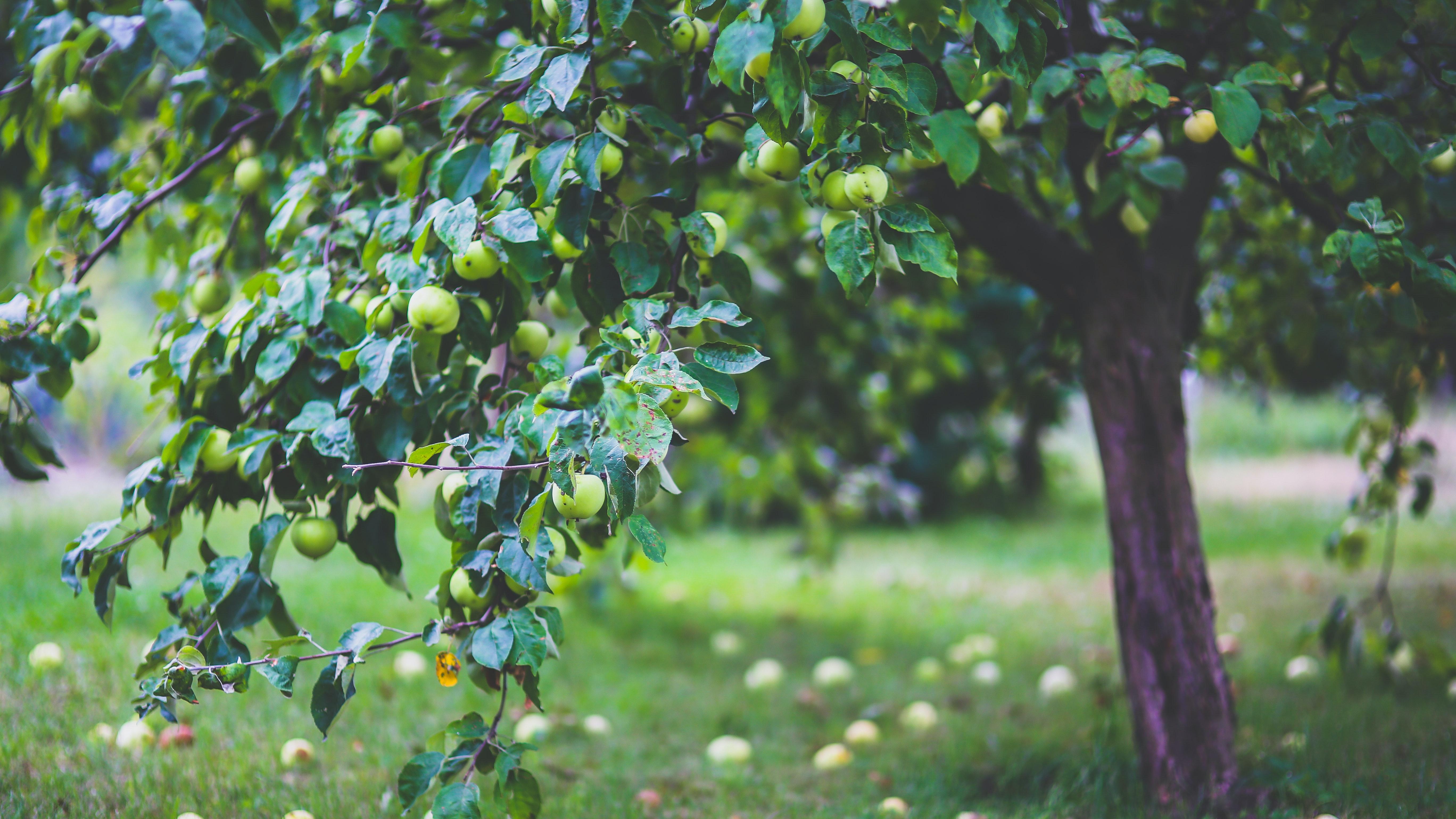 副业创业失败后，如何重建职场中的自信心