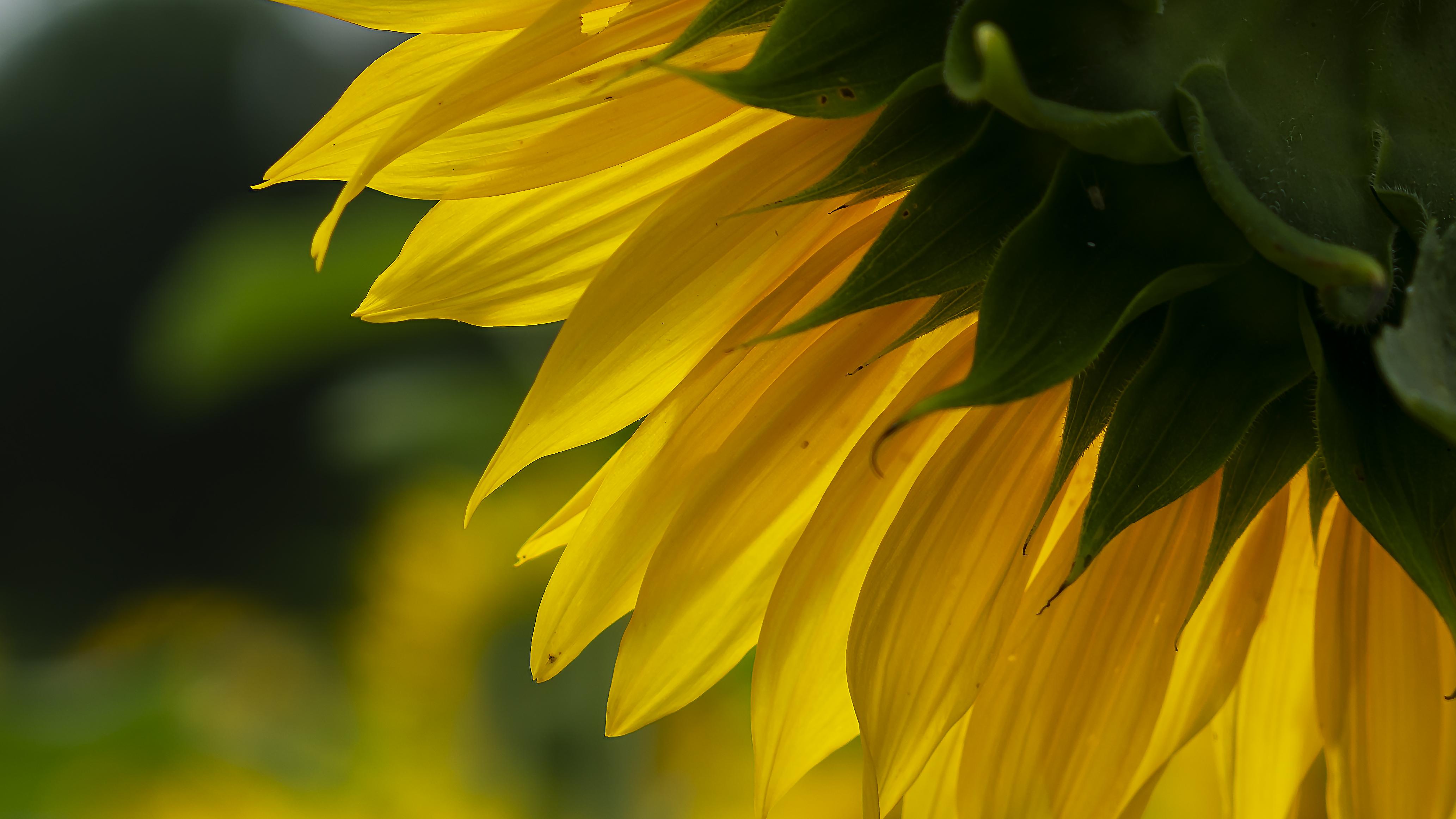 这样做年终复盘最有效？