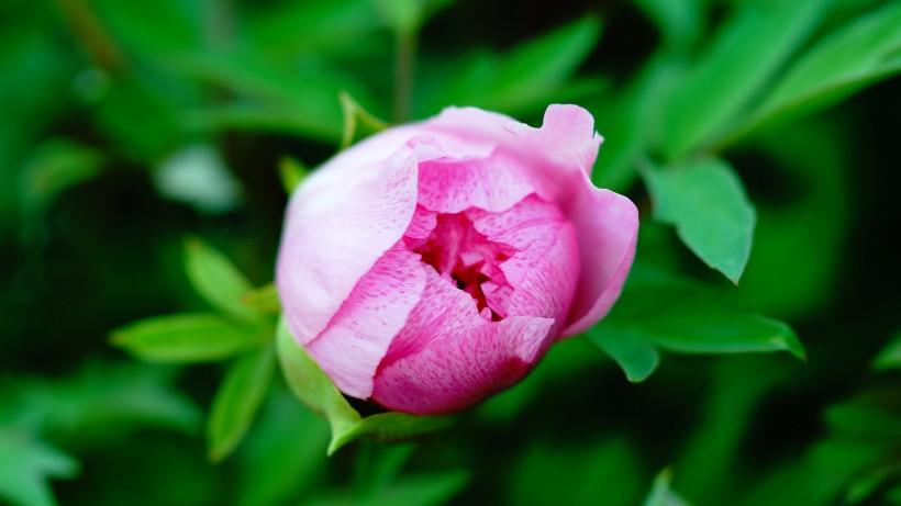 永远提醒自己，不要什么都想做