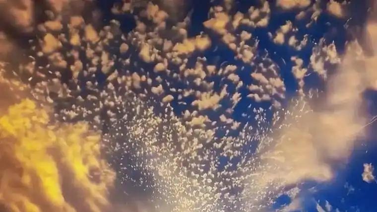 伤官配印的人，适合做研究类工作，做文化的传播者