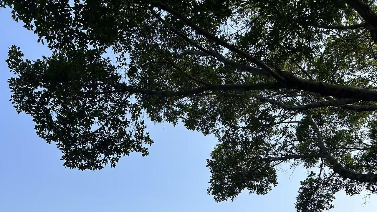 人到中年一切求稳，悠着点