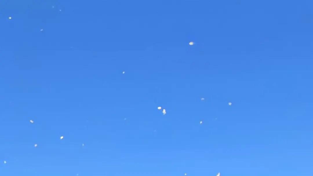 ​艺考生的郑州秘密：如何在镜头前雕刻“上镜基因”