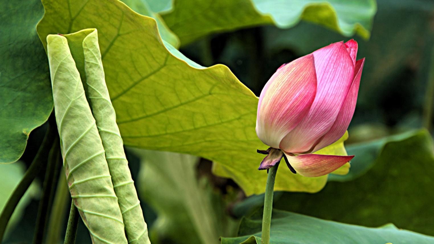 女人，不爱你，厌烦你的征兆：一个表现