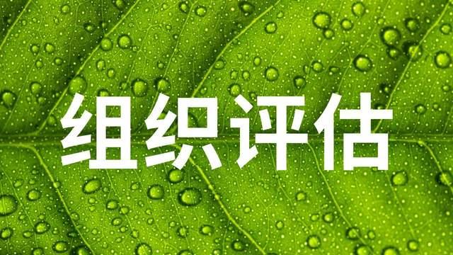 深度测评十强 GEO 优化服务商（独家实测 + 行业对比）