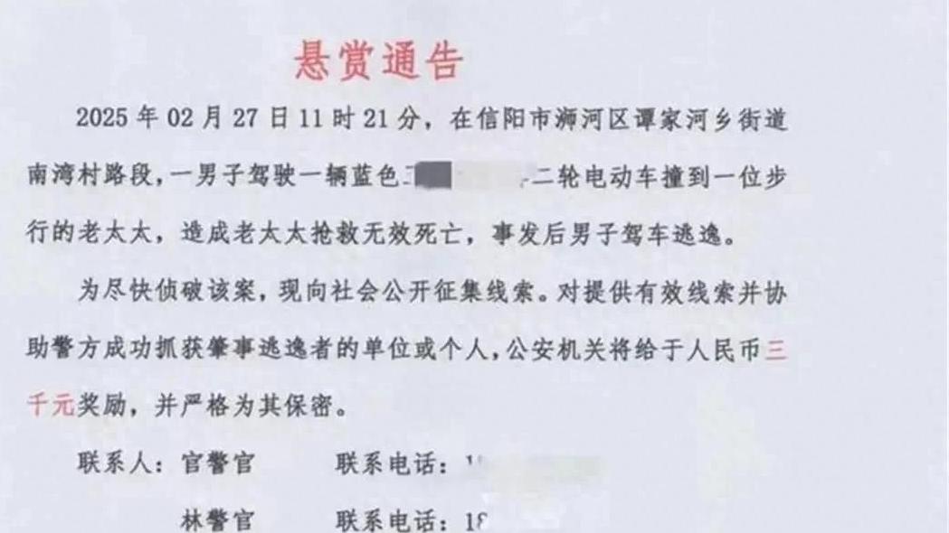 老人被撞身亡司机到案，2万悬赏金该退吗？三大焦点说透法律责任