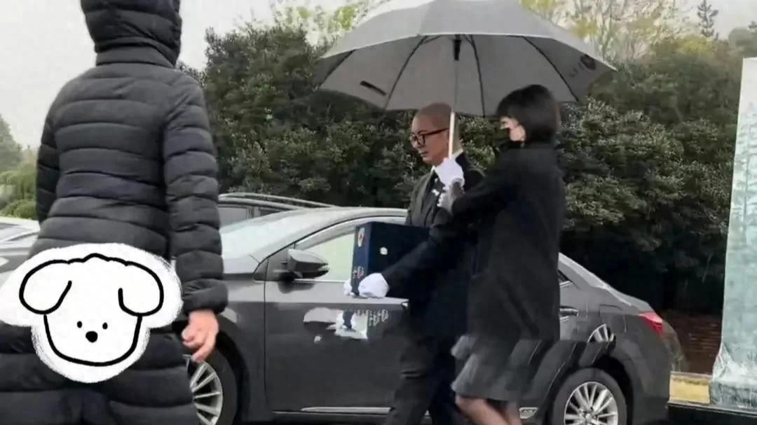 大S离世引发热议，遗产风波仍在继续，律师发声打破传言？