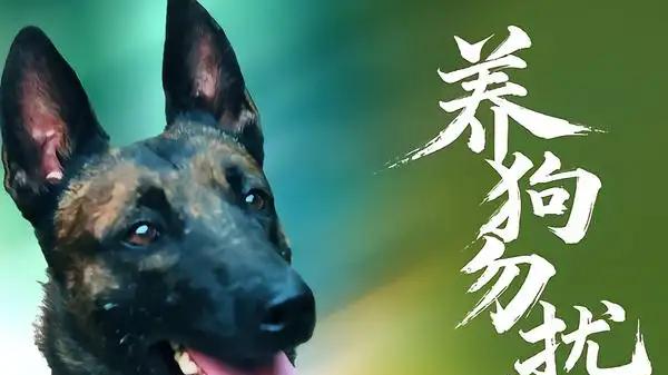 《养狗勿扰邻》邻里博弈超带感，温情反转破僵局