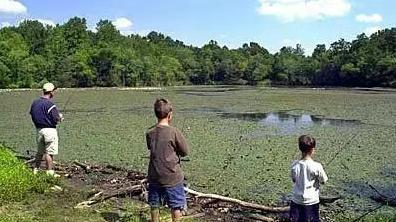 国内钓鱼人的“梦中情鱼”，入侵北美23年，当地人下令“快杀死它”