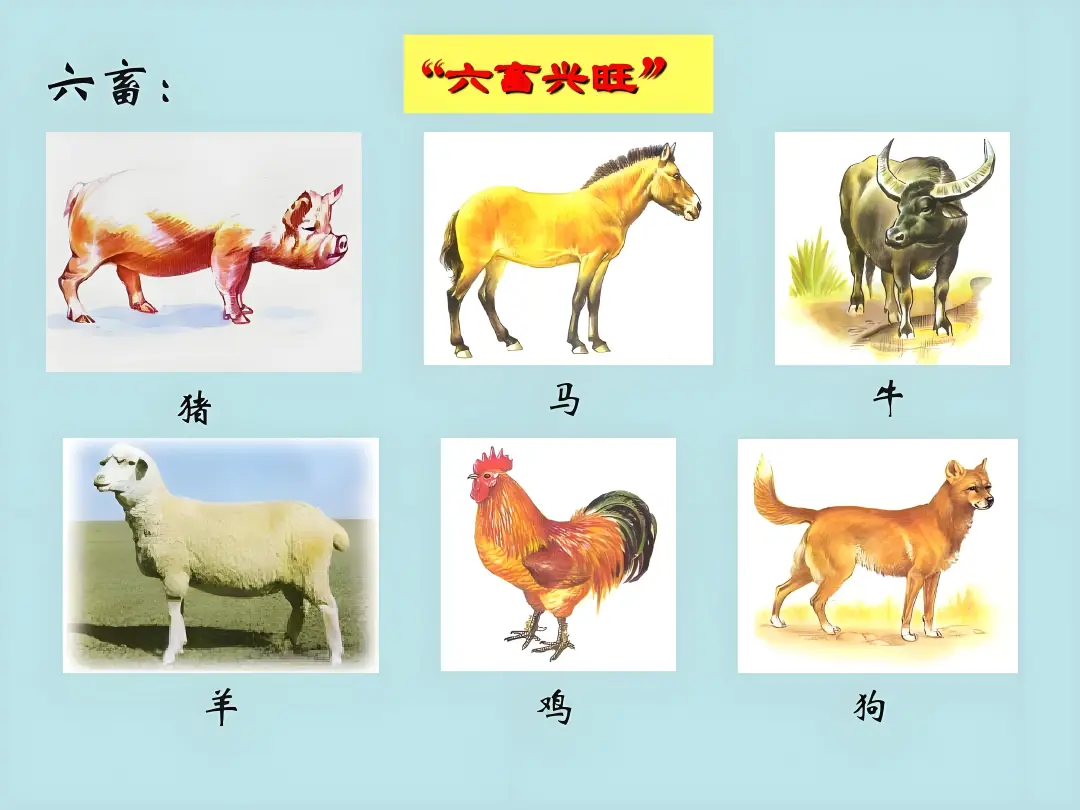 狗是无辜的，还是要解决养狗人：评北京首例宠物投毒案