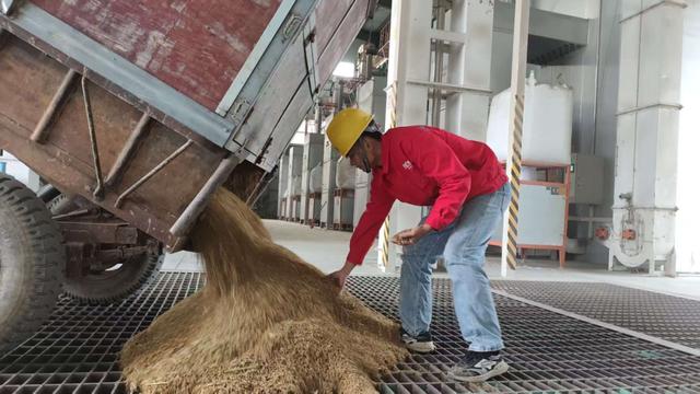 来宾市创新开展湿谷收购工作