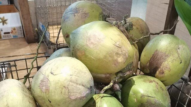 中国特产百强排行榜NO.92：海南椰子-热带雨林的馈赠，清新甘甜！