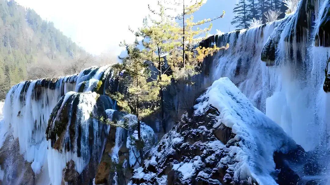 七律·新岁银龙舞