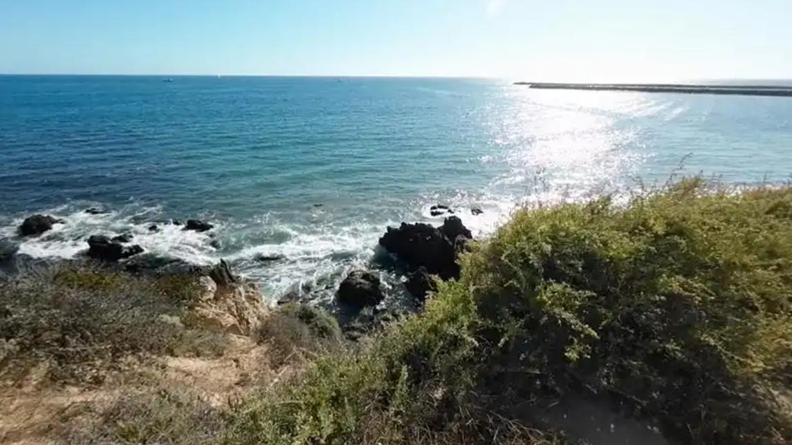 美“禁签闹剧”：伤的不只是留学梦