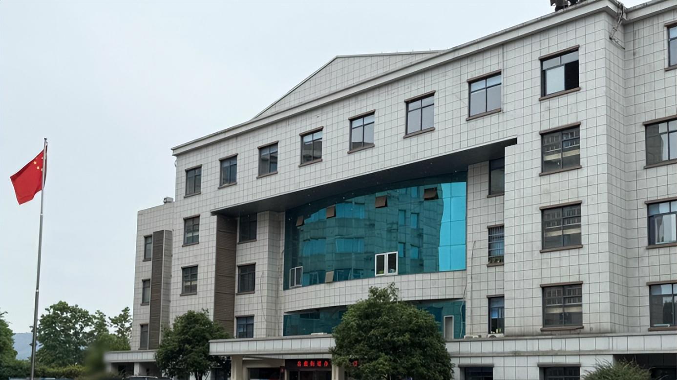 政企工作人员喜欢开什么车上下班？比亚迪成通勤新风尚无疑