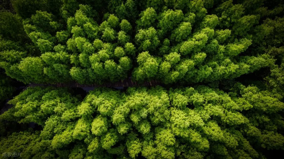 时代的拷问，家电传统经销商是怎样被市场抛弃的？
