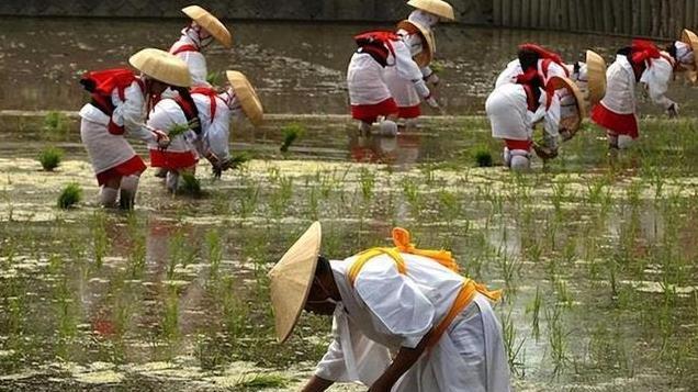 日本祖先被证实，不是徐福后代，DNA检测让日本人无法接受