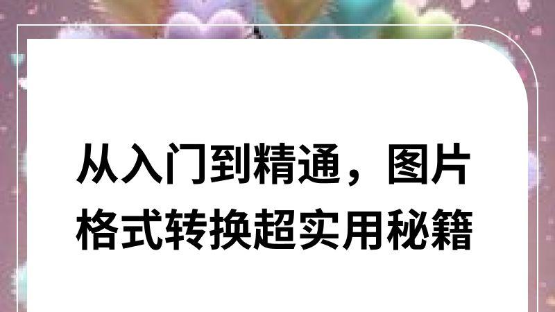 从入门到精通，图片格式转换超实用秘籍