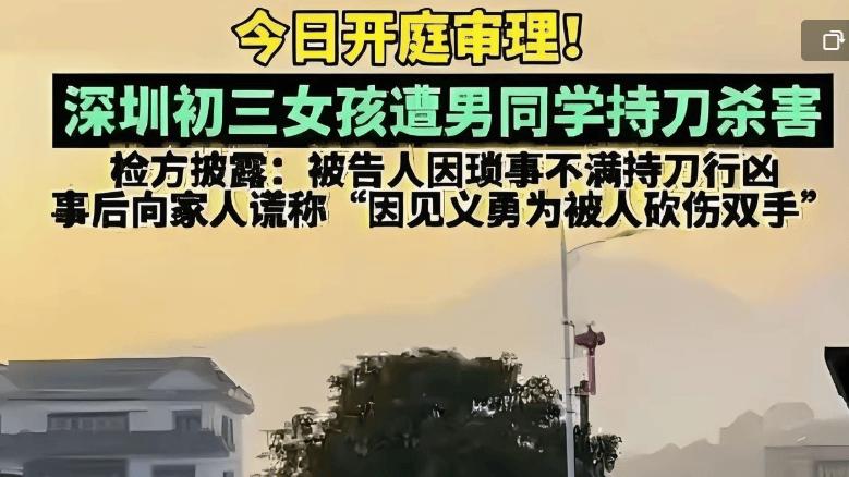 14岁少年的致命冲动，我们该如何阻止悲剧重演？