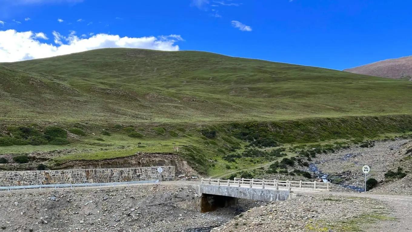 最激动人心的偶遇，最野生的野生动物（公路偶遇）