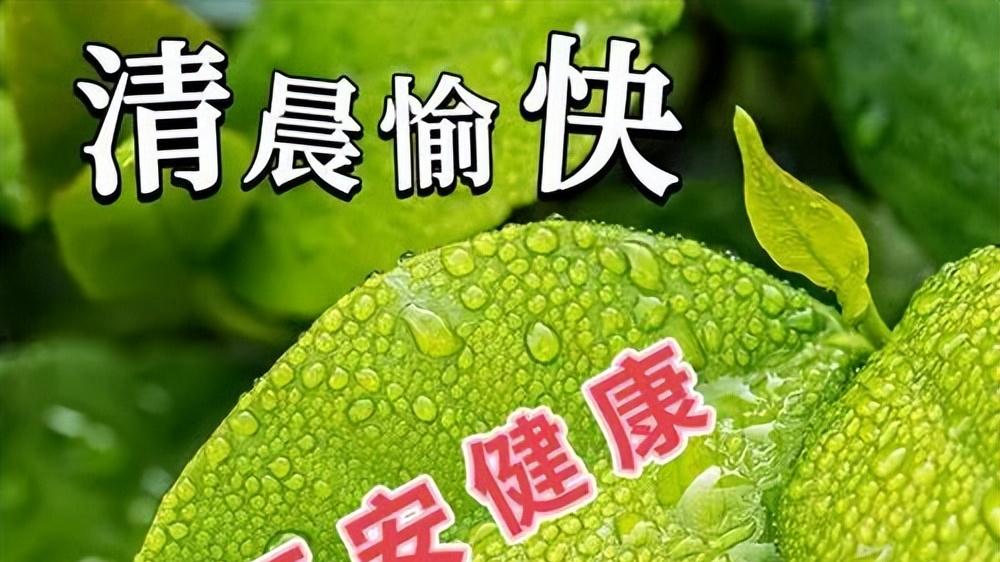 最新版早安问候图片大全，早安暖心短句子，愿你一天比一天更美好