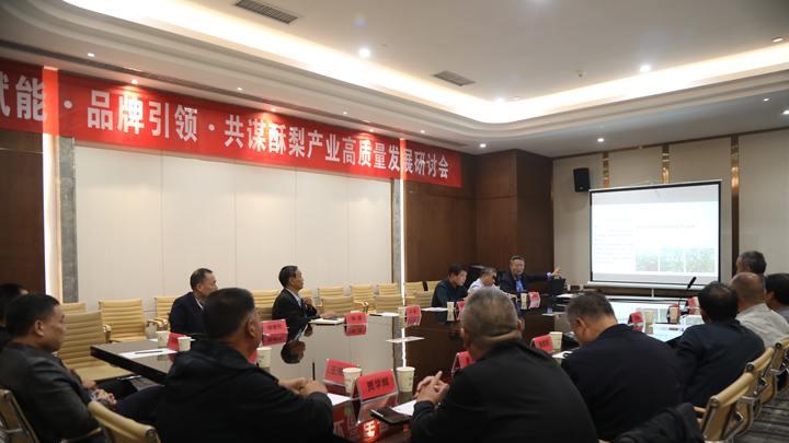 陕西水果网络特色季·蒲城酥梨专场推介活动举行