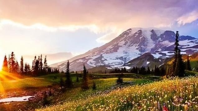 清代诗人袁枚笔下最美的一首诗，短短20字，便写出了最美的春天