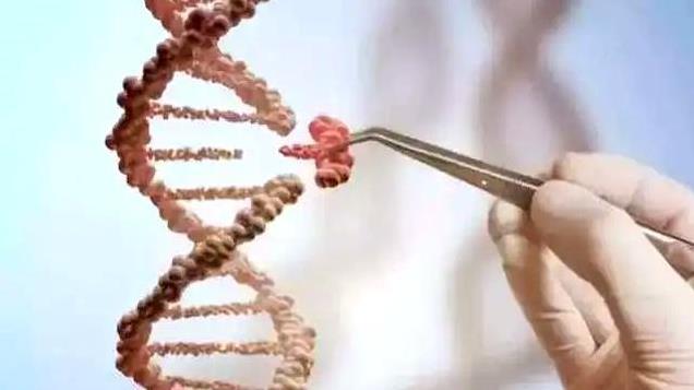 中国人祖先源自非洲？考古发现：本土化石链条完整，这事不简单