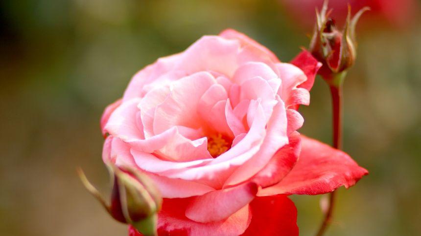 你是不是这样，越选择越迷茫，越忙碌越空虚