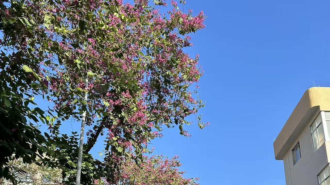 天行健，人都应该自强不息