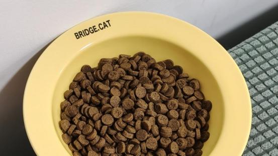 泰迪幼犬狗粮哪个牌子好？泰迪犬狗粮十大排行榜